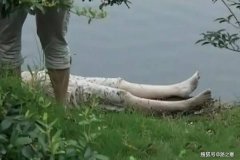 同死者生前有何暧昧关系或反常迹象