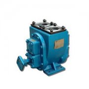 本发明公开了一种电泵井口堵漏装置