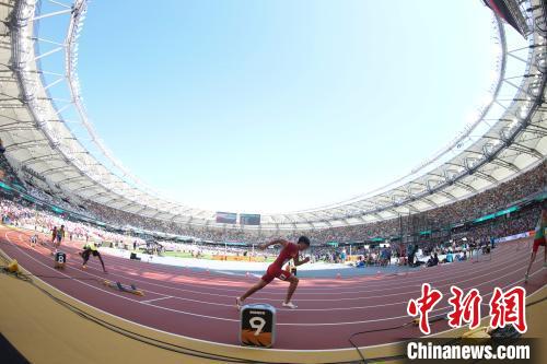 中国双将谢智宇晋级世锦赛半决赛 朱胜龙遗憾止